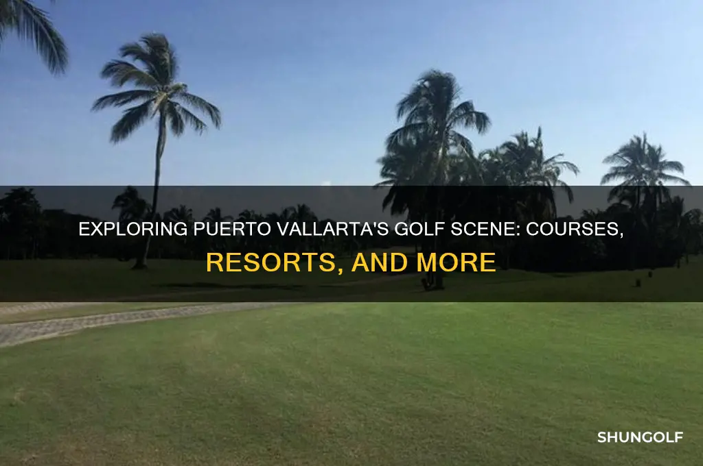 is there golf in puerto vallarta mexico