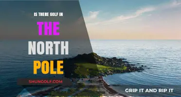 Exploring Arctic Greens: Golfing Possibilities at the North Pole