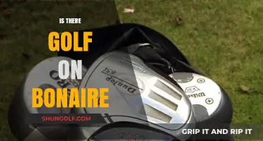 Golfing on Bonaire: Is It Possible?