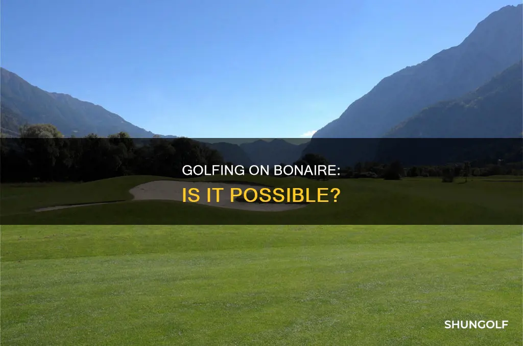is there golf on bonaire