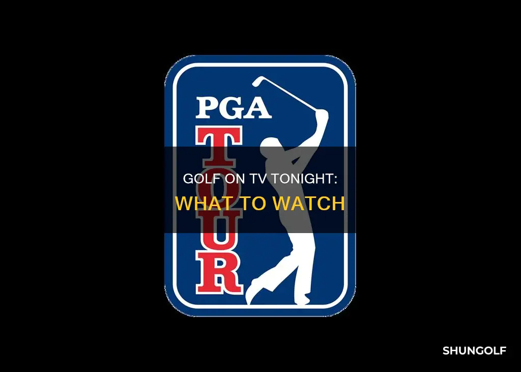 is there golf on tv tonight