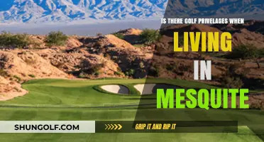 Mesquite Living: Unlocking Golf Privileges in Nevada's Desert Oasis