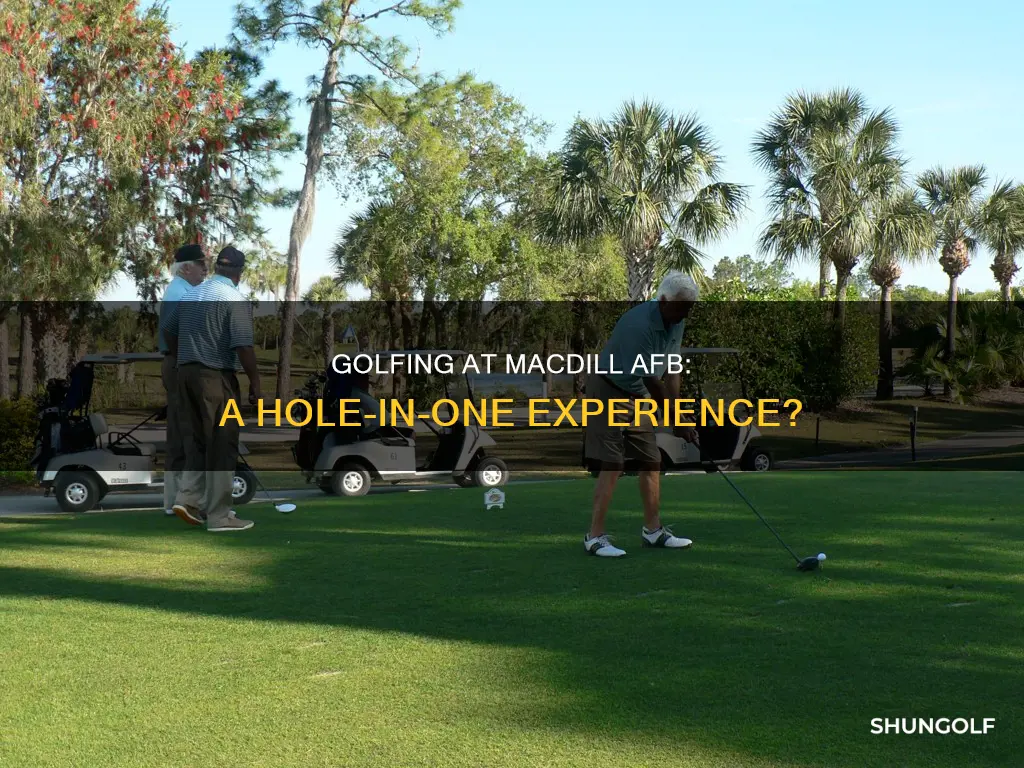 is there golfing at macdill afb
