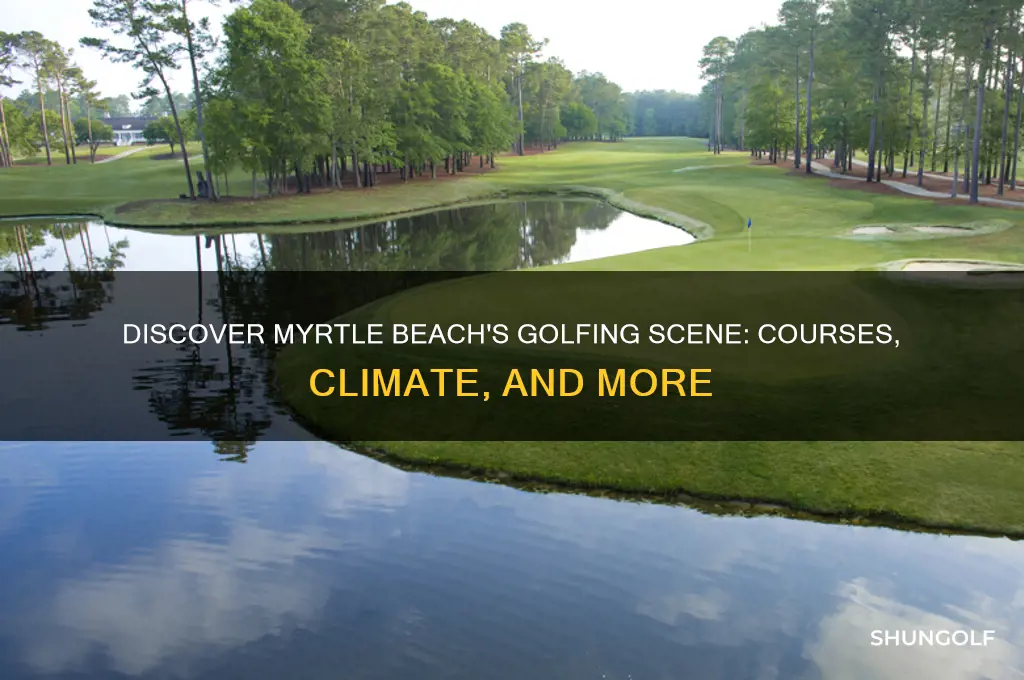 is there golfing in myrtle beach south carolina