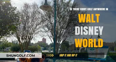 Discover Kid-Friendly Golf Options at Walt Disney World Resorts