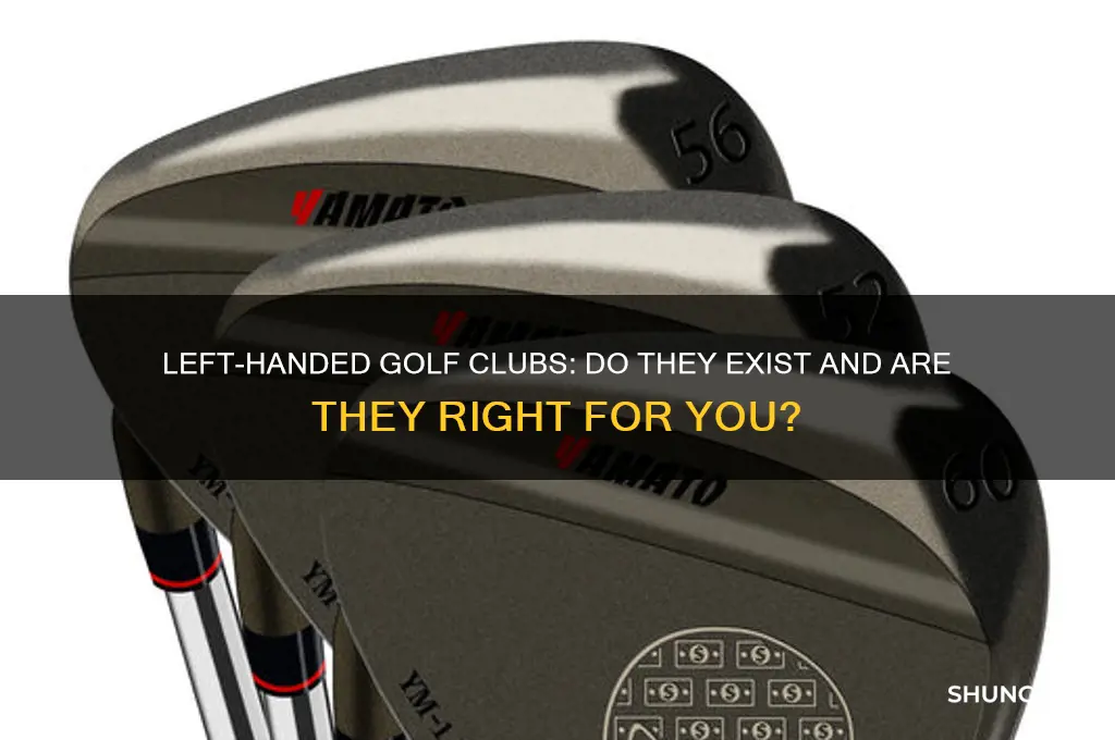 is there left handed golf clubs