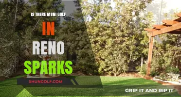 Exploring Mini Golf Options in Reno Sparks: A Comprehensive Guide