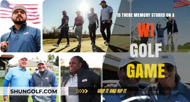 Exploring Memory Storage in Wi Golf Games: Fact or Fiction?