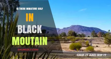 Miniature Golf in Black Mountain: Exploring Fun Options for All Ages