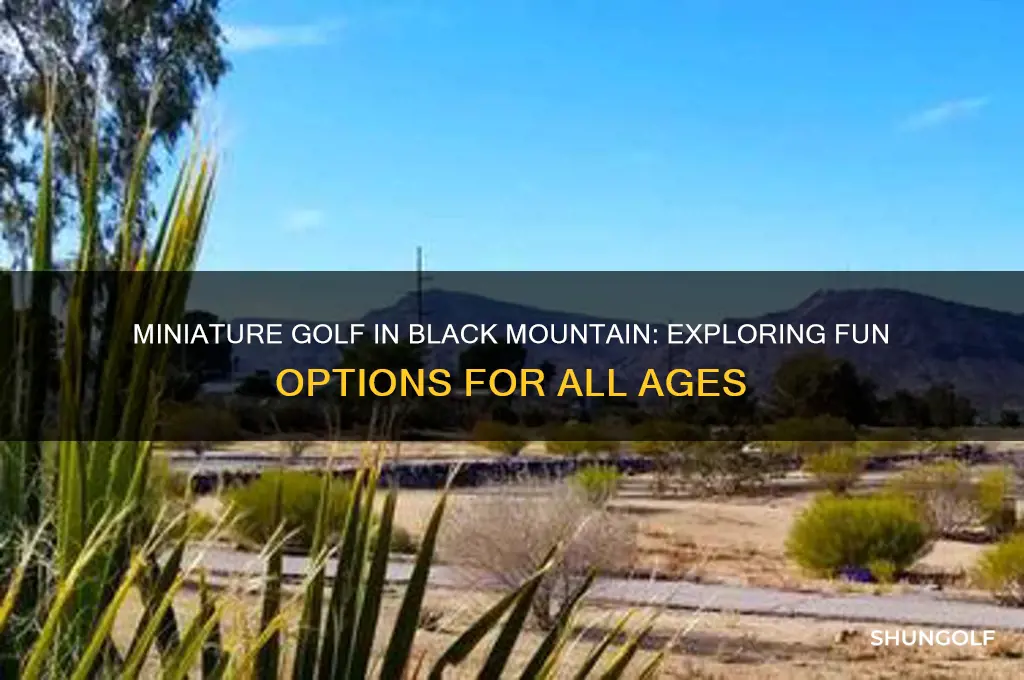 is there minature golf in black moutain