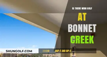 Mini Golf at Bonnet Creek: Exploring Fun Options for Families
