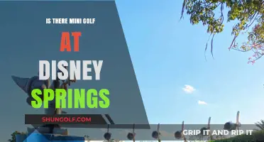 Mini Golf at Disney Springs: What You Need to Know