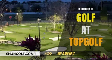 Topgolf: Mini Golf or Not?