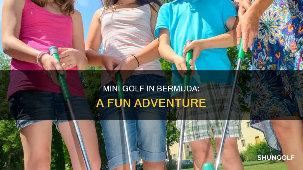 is there mini golf in bermuda