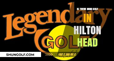 Hilton Head Mini Golf: Where to Play and Family Fun Tips