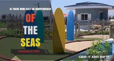 Mini Golf on Independence of the Seas: A Fun Activity?