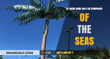 Mini Golf on Symphony of the Seas: What to Expect