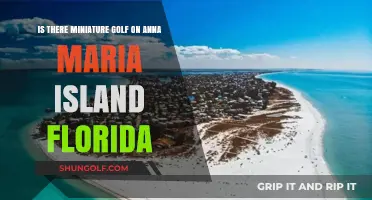 Miniature Golf on Anna Maria Island: A Fun Family Activity?