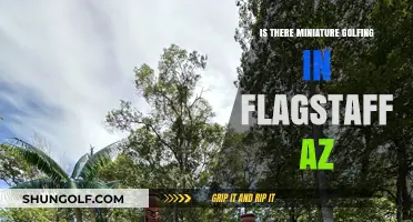 Miniature Golfing in Flagstaff, AZ: A Fun Family Adventure Awaits