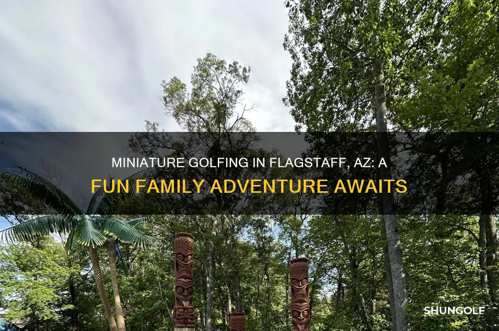 is there miniature golfing in flagstaff az