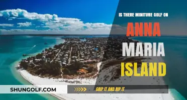 Miniature Golf on Anna Maria Island: A Fun Family Activity?