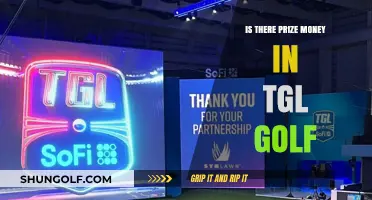 TGL Golf Prize Money: Unveiling the Financial Rewards in the League