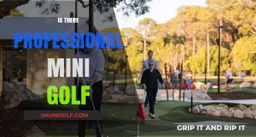 Mini Golf: A Professional Sport?