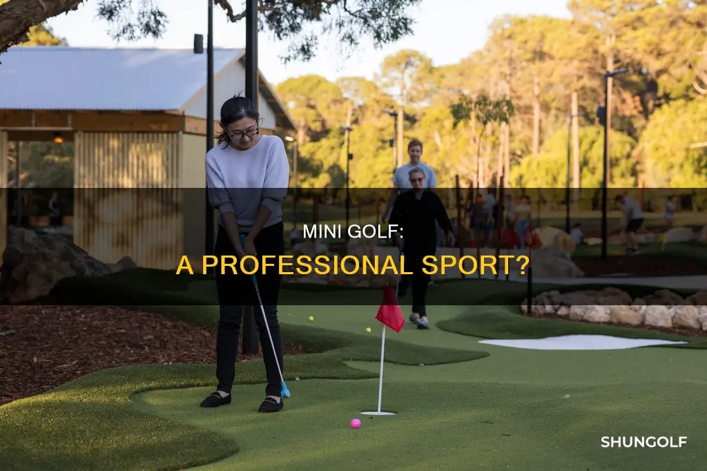 is there professional mini golf