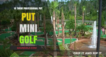 Exploring Professional Put-Put Mini Golf: A Growing Competitive Sport?
