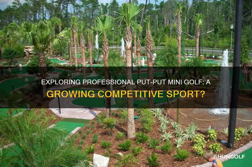 is there professional put put mini golf