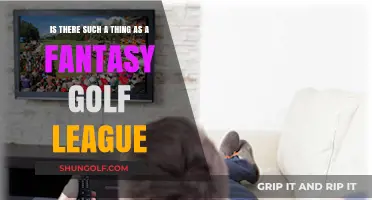 Exploring the World of Fantasy Golf Leagues: Myth or Reality?