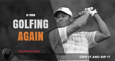 Tiger's Golf Comeback: What to Expect