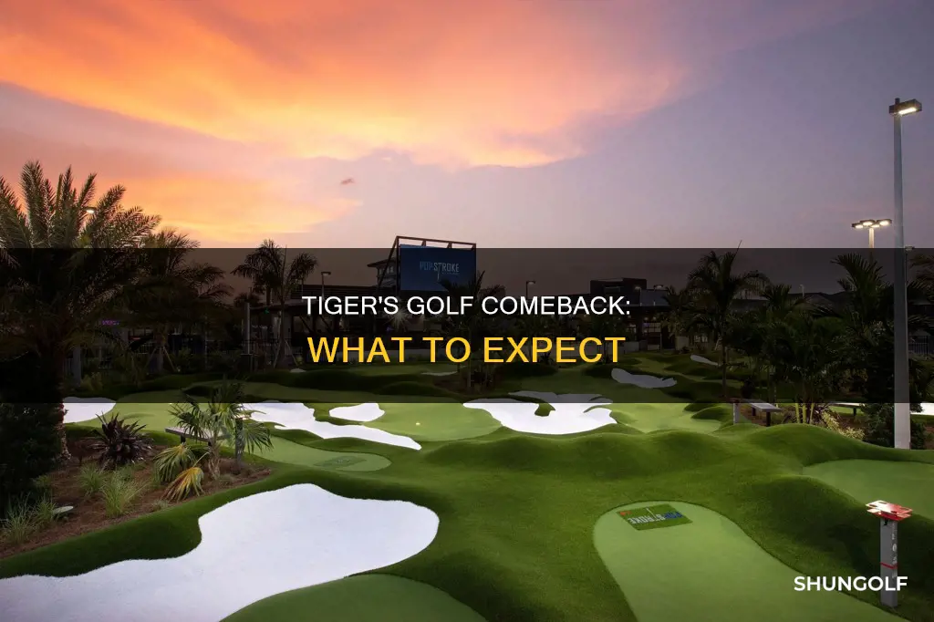 is tiger golfing again
