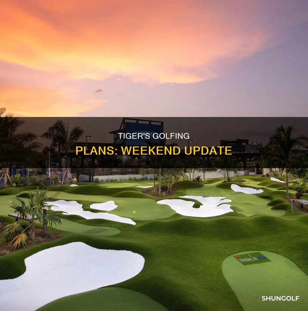 is tiger golfing this weekend