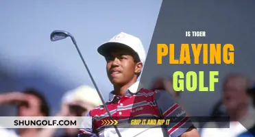 Is Tiger Playing Golf? Tracking His Return to the Greens