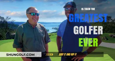 Tiger's Legacy: Greatest Golfer Ever?