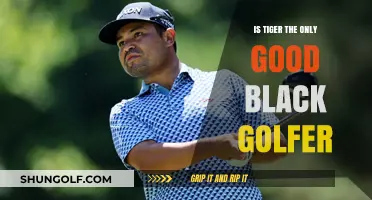 Exploring Diversity in Golf: Beyond Tiger Woods