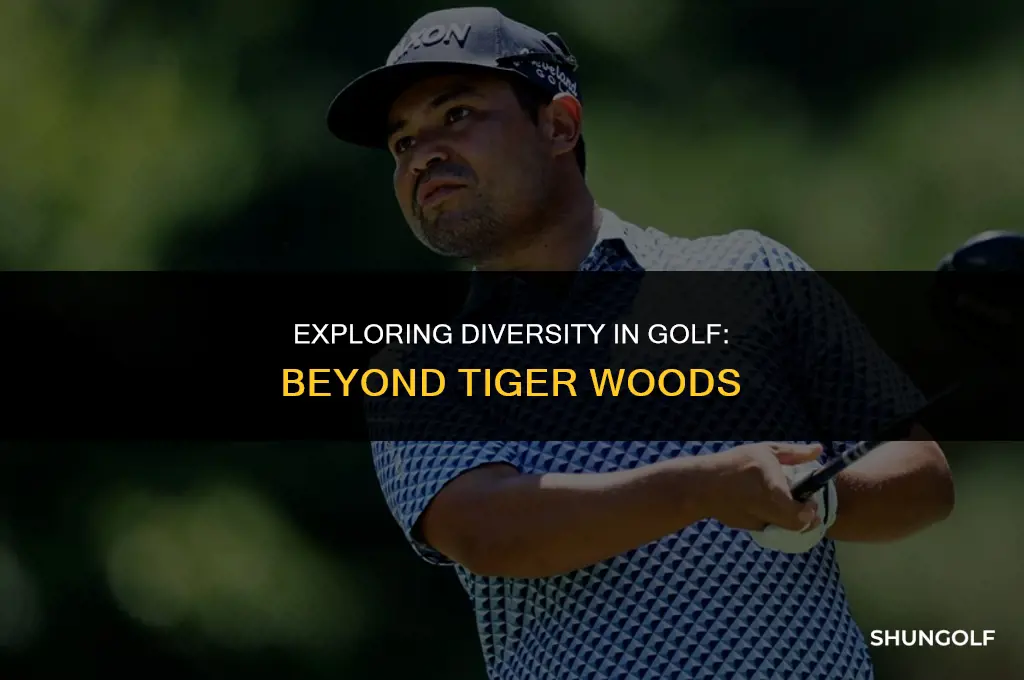 is tiger the only good black golfer