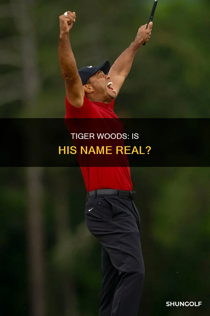 is tiger tiger woods real name