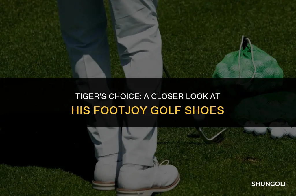 is tiger wearing footjoy golf shoes