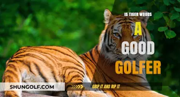 Exploring Tiger Woods' Golfing Prowess: A Comprehensive Analysis