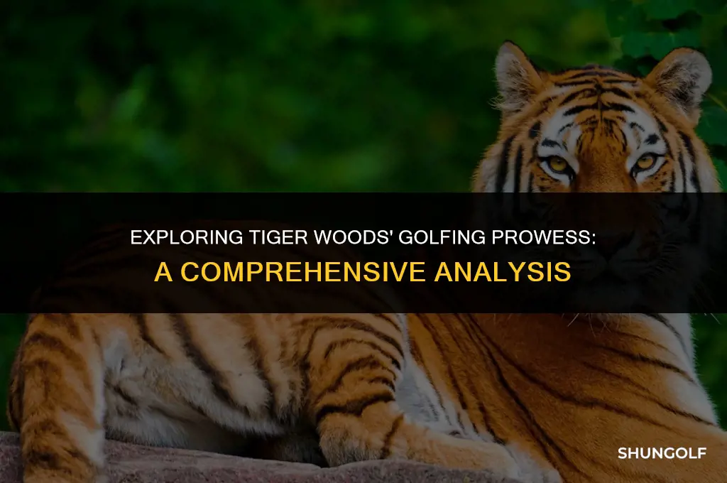 is tiger woods a good golfer