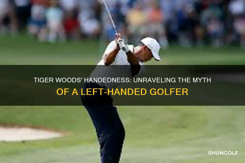 is tiger woods a left handed golfer