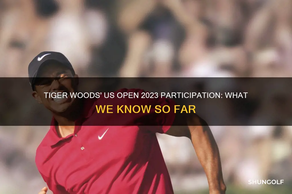 is tiger woods golfing in the us open
