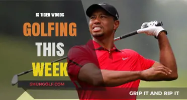 Tiger Woods' Golfing Schedule: Where Will He Tee Off?