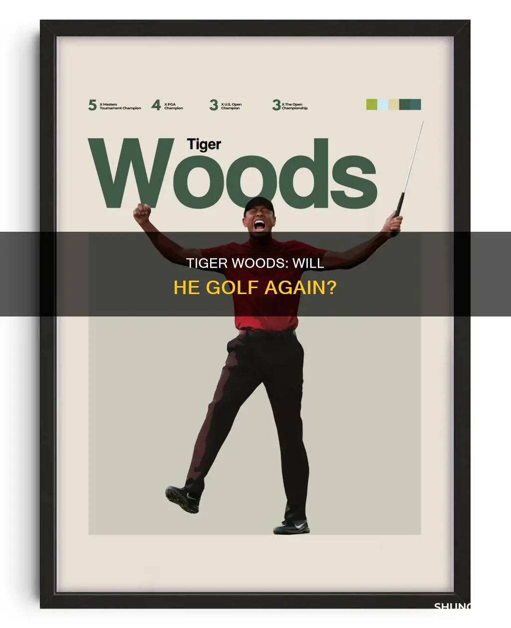 is tiger woods golfing this year