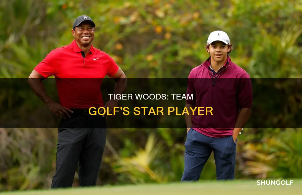 is tiger woods in team golf