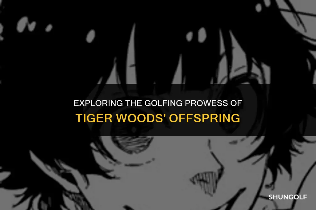 is tiger woods kid good at golf