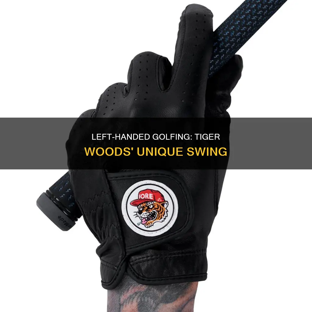 is tiger woods left handed golfer