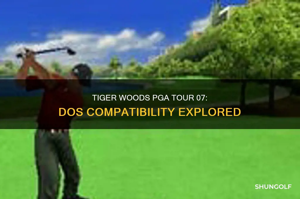 is tiger woods pga tour golf 07 a dos game